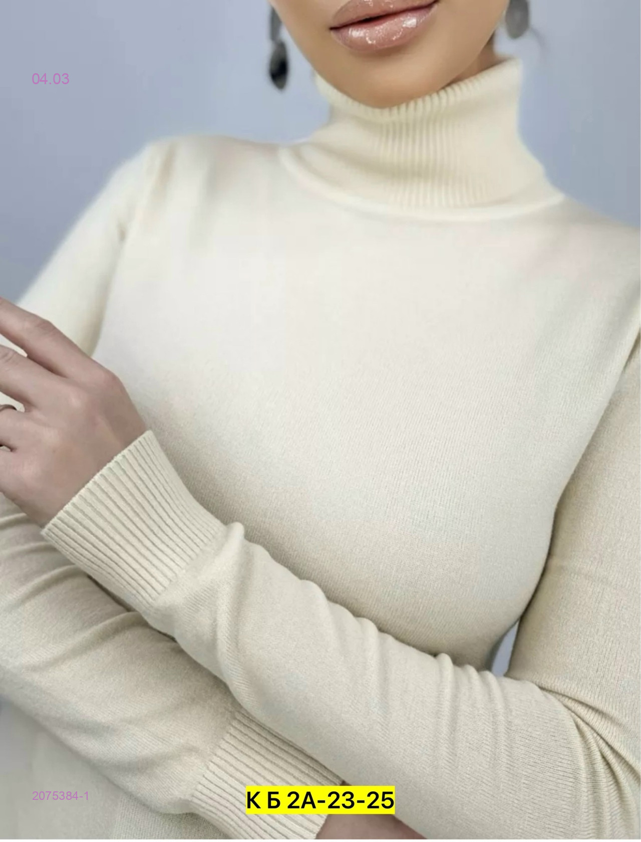 Водолазка 2075384-1