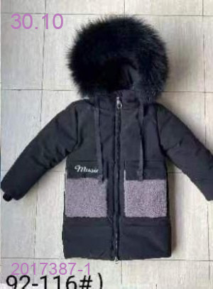 Куртка зима 2017387-1