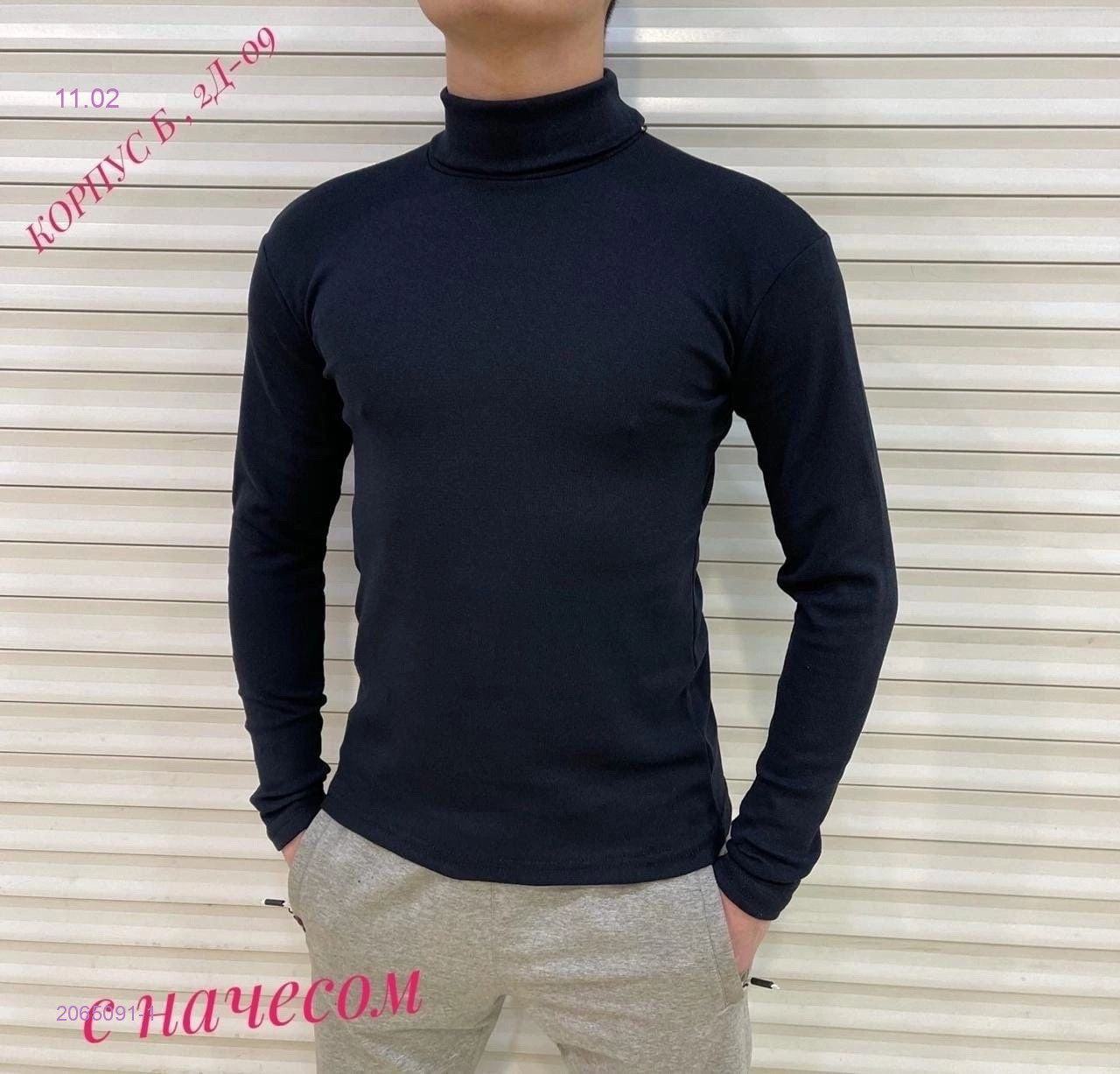 Водолазка 2065091-1