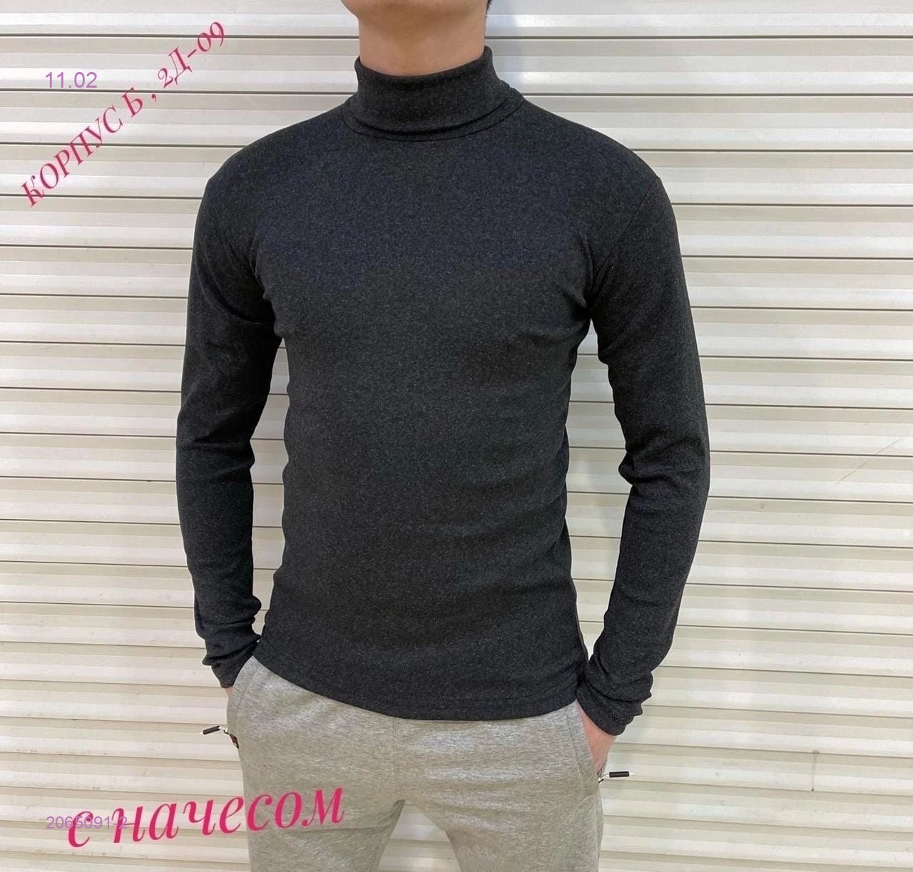 Водолазка 2065091-2