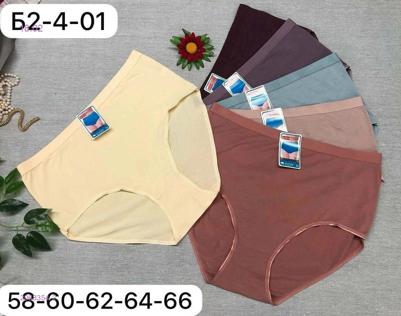 Трусы 5 шт 2068354-2