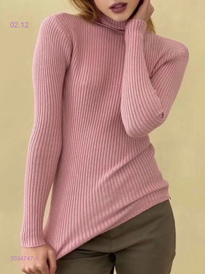 Водолазка 2034747-1