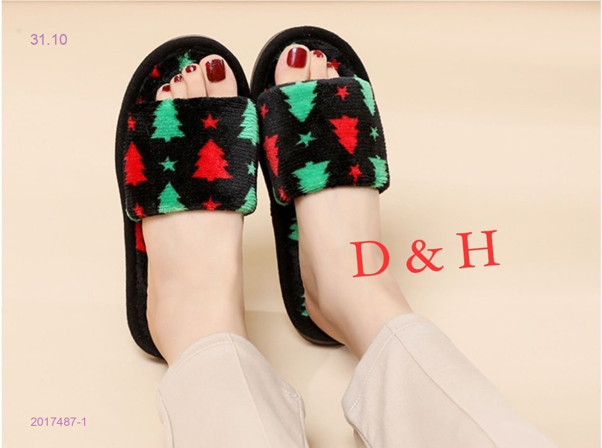 Тапочки женские 2017487-1