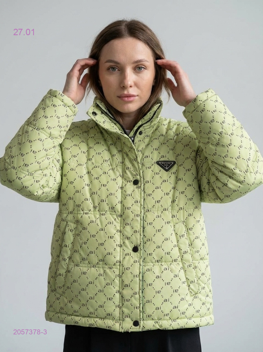 Куртка весна 2057378-3