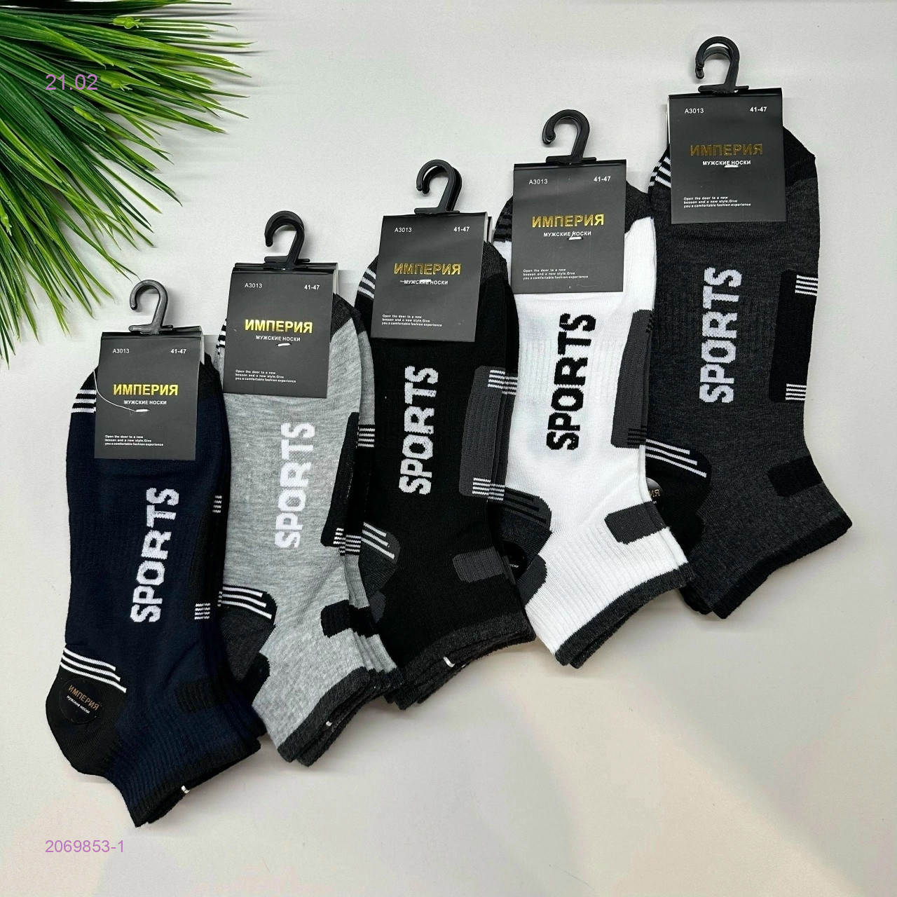 Носки мужские 10 пар 2069853-1