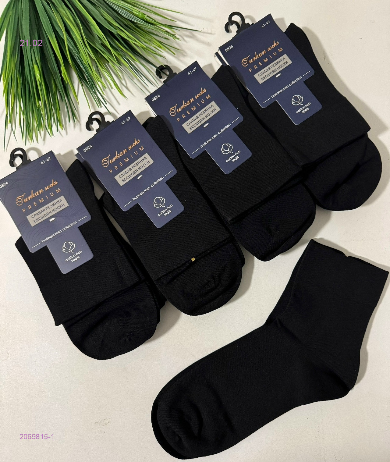 Носки мужские 10 пар 2069815-1