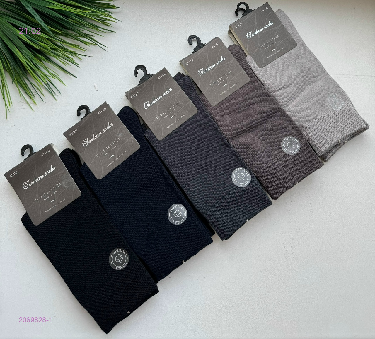 Носки мужские 10 пар 2069828-1