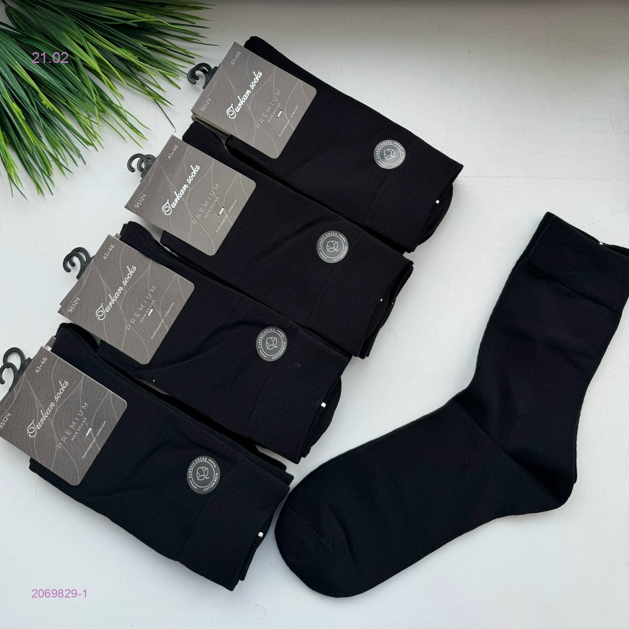 Носки мужские 10 пар 2069829-1