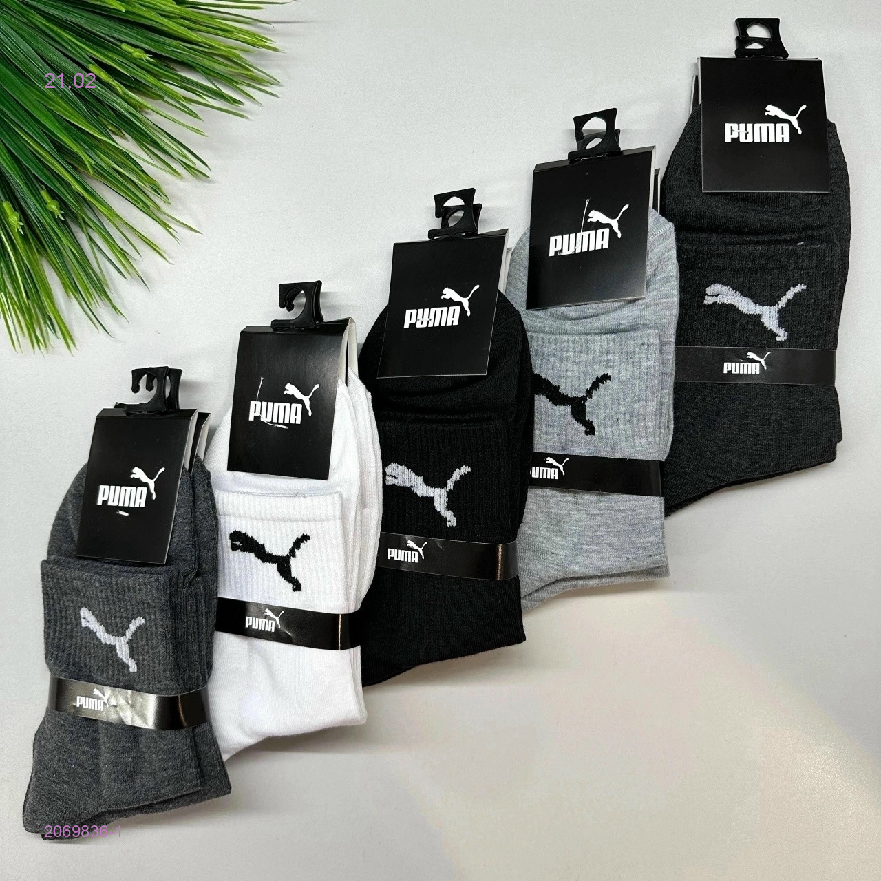 Носки мужские 10 пар 2069836-1