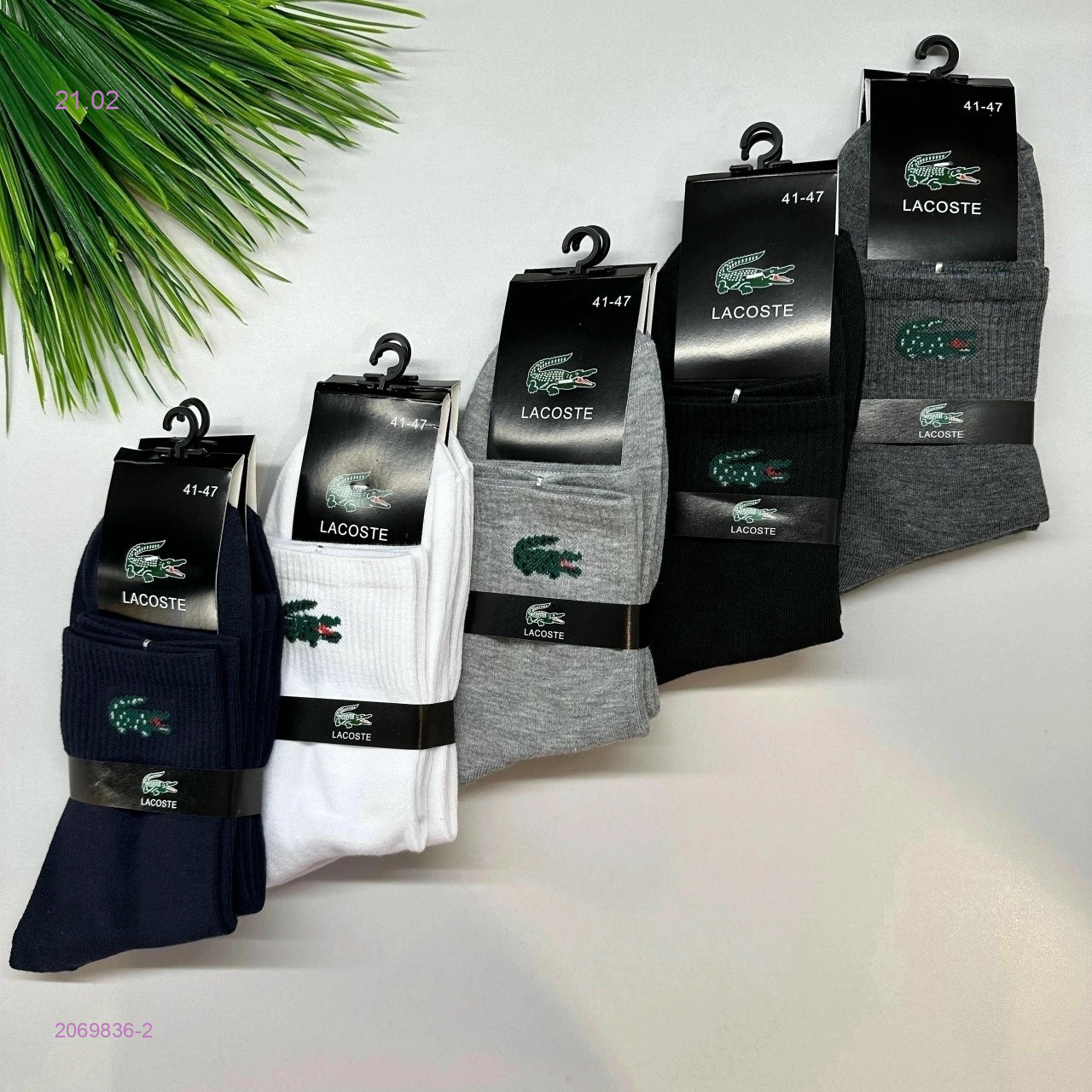 Носки мужские 10 пар 2069836-2