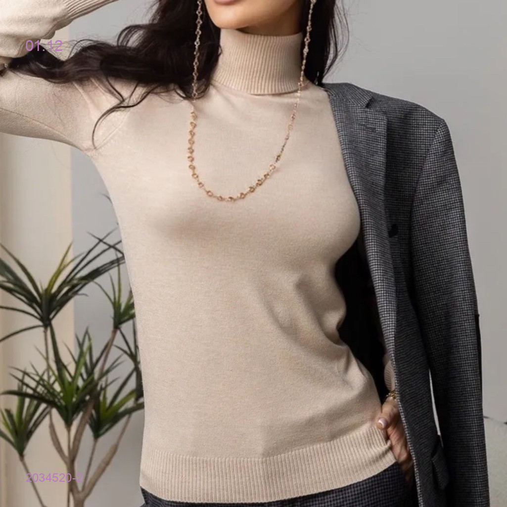 Водолазка 2034520-2