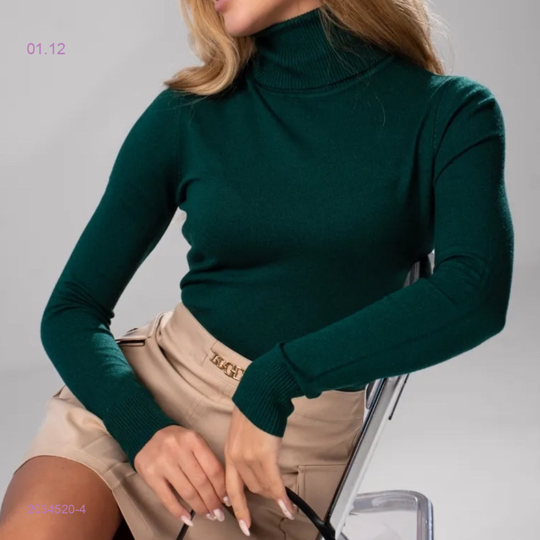 Водолазка 2034520-4