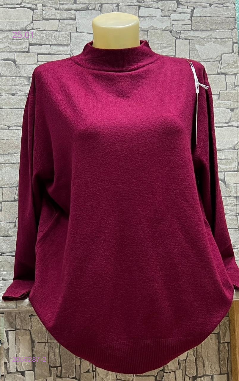 Водолазка 2056287-2