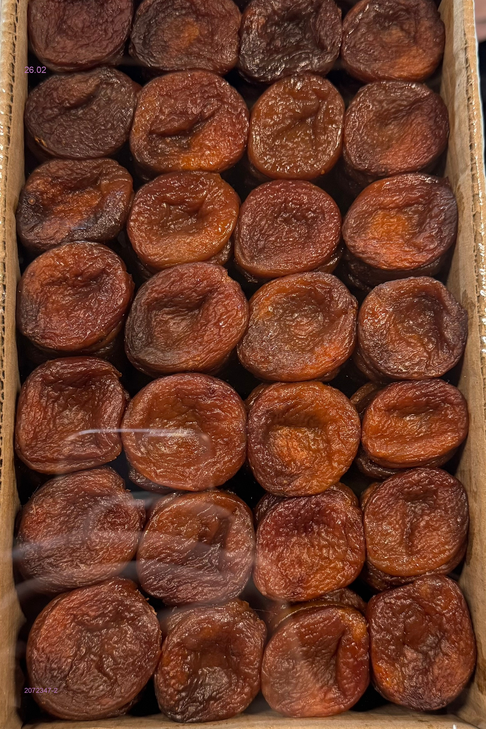 КУРАГА 2072347-2