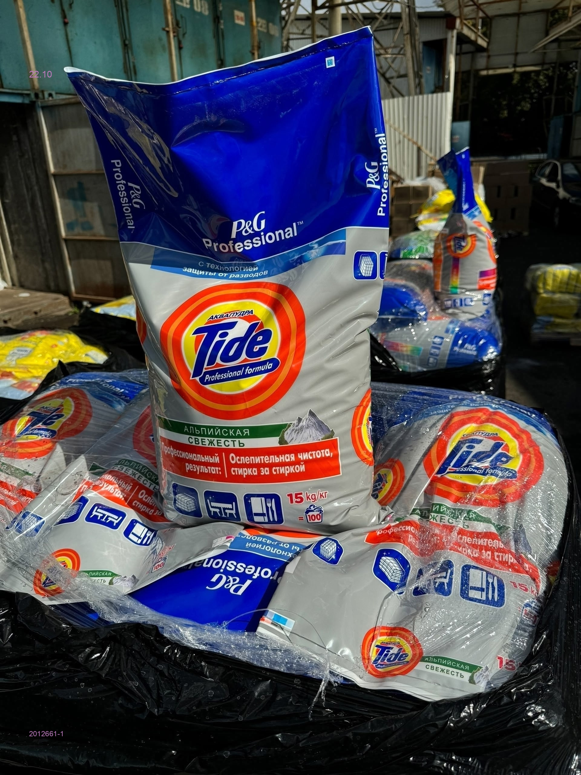 ПОРОШКИ 2012661-1