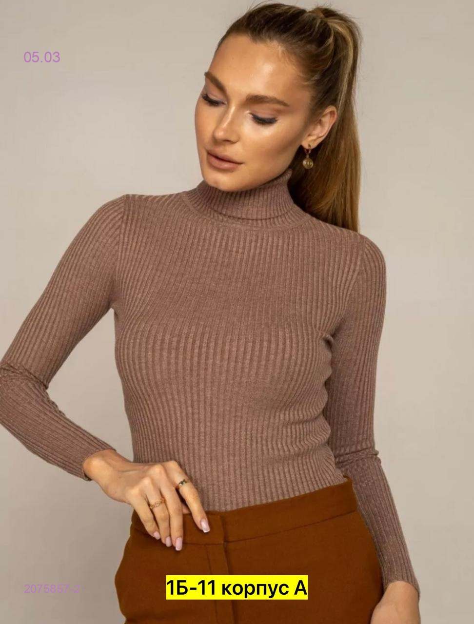 Водолазка 2075857-2