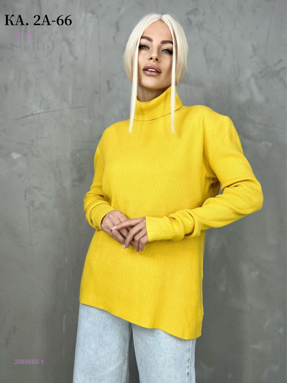 Водолазка 2068660-1