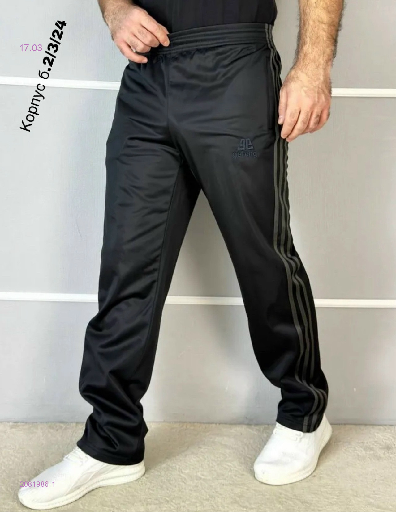 Спортивные штаны 2081986-1