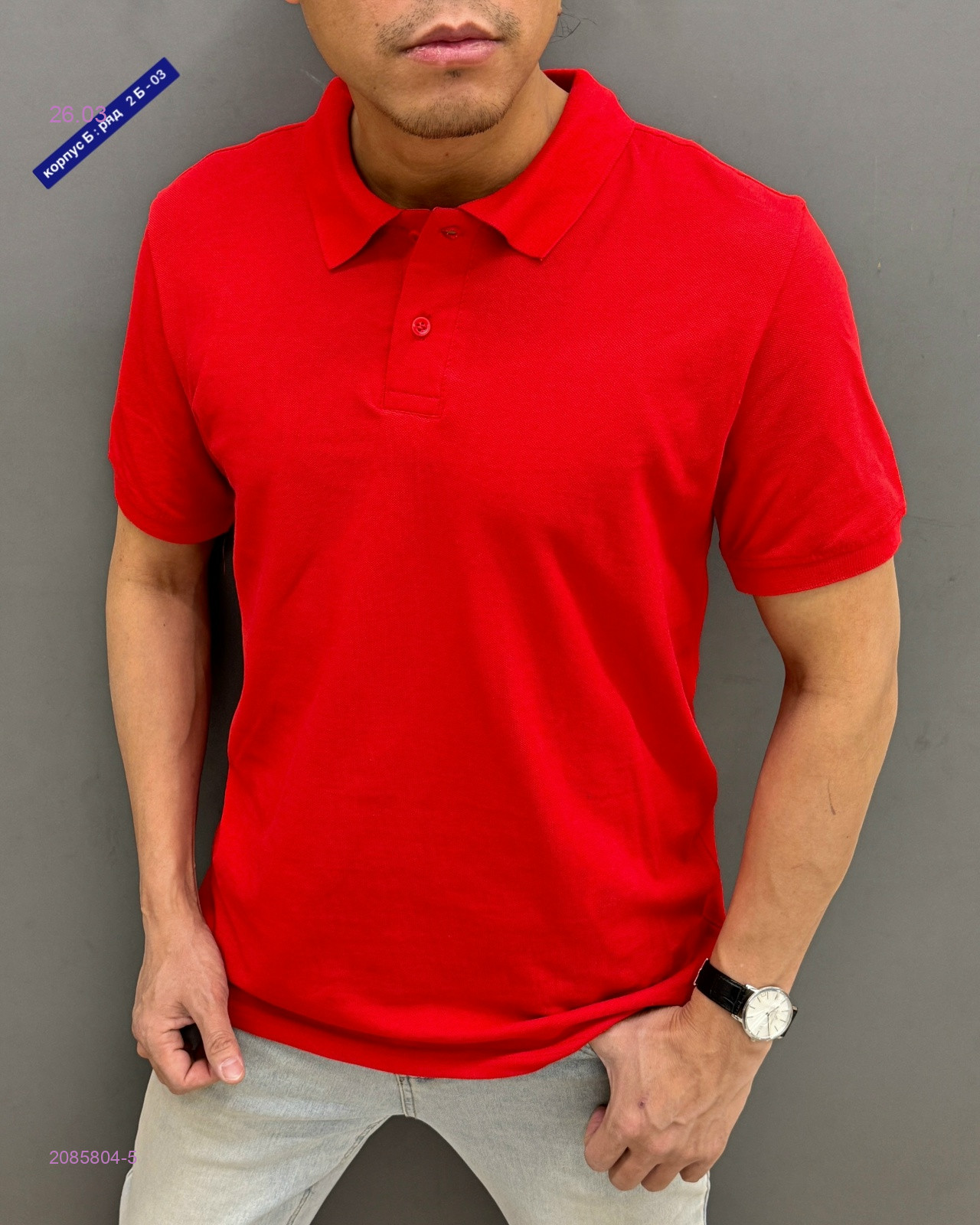 Футболка поло 2085804-5