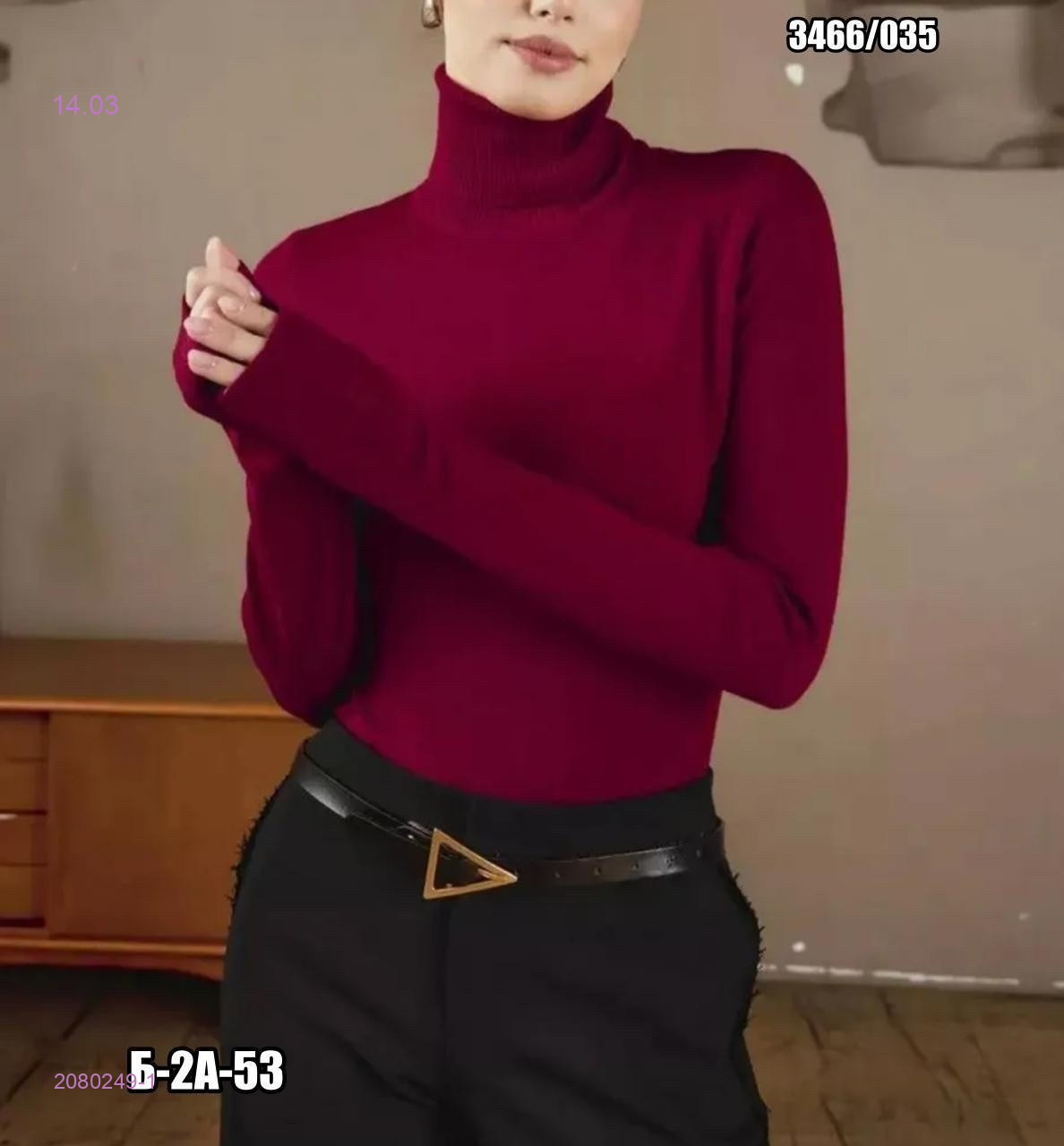 Водолазка 2080249-1