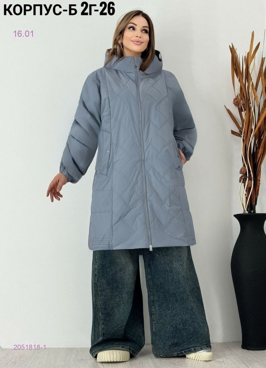 Куртка зима 2051818-1