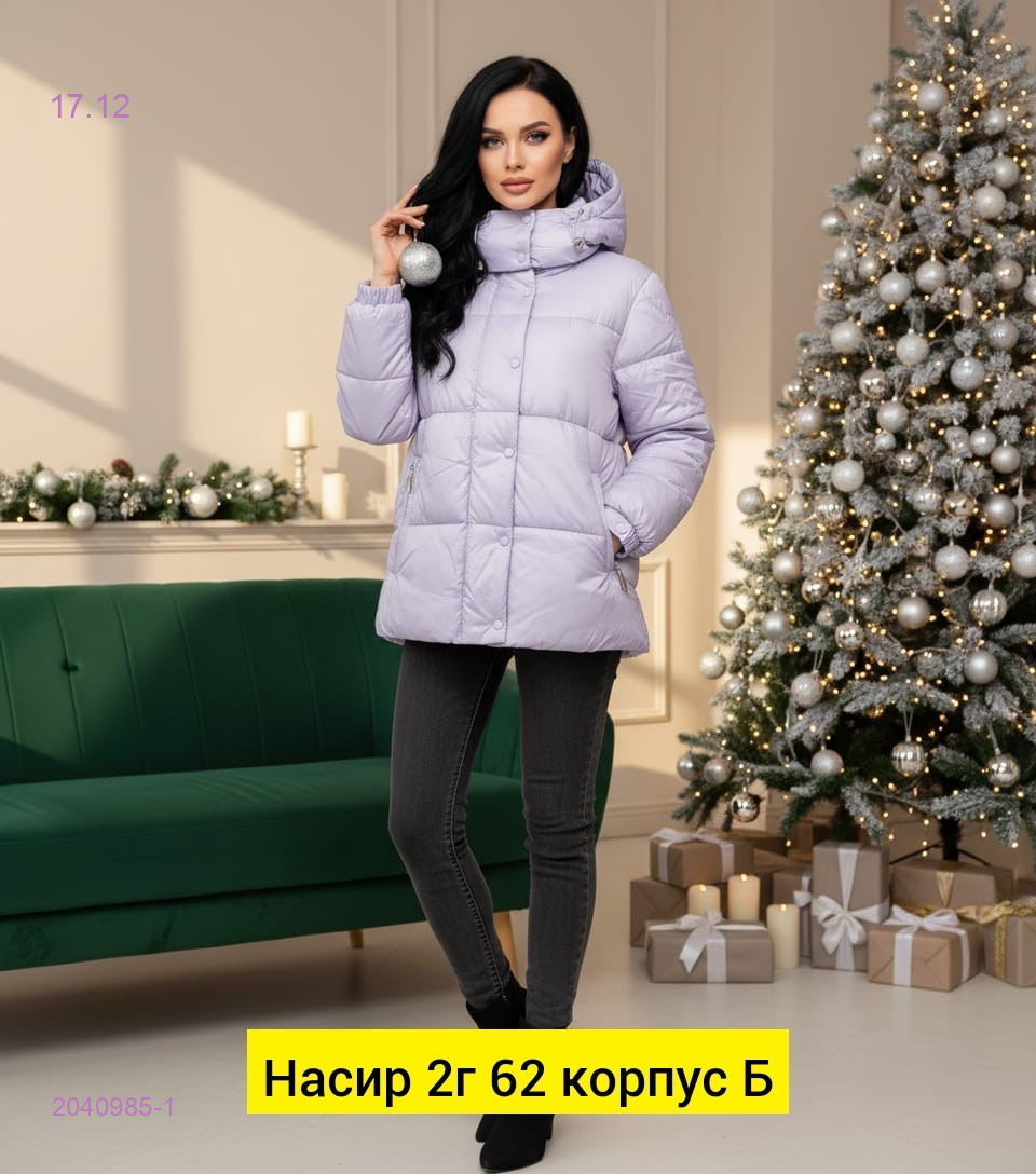 Куртка зима 2040985-1