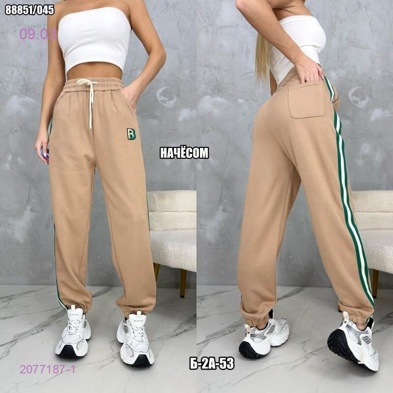 Брюки 2077187-1