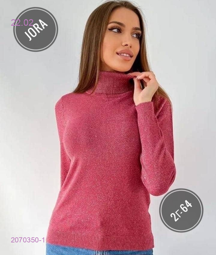 Водолазка 2070350-1