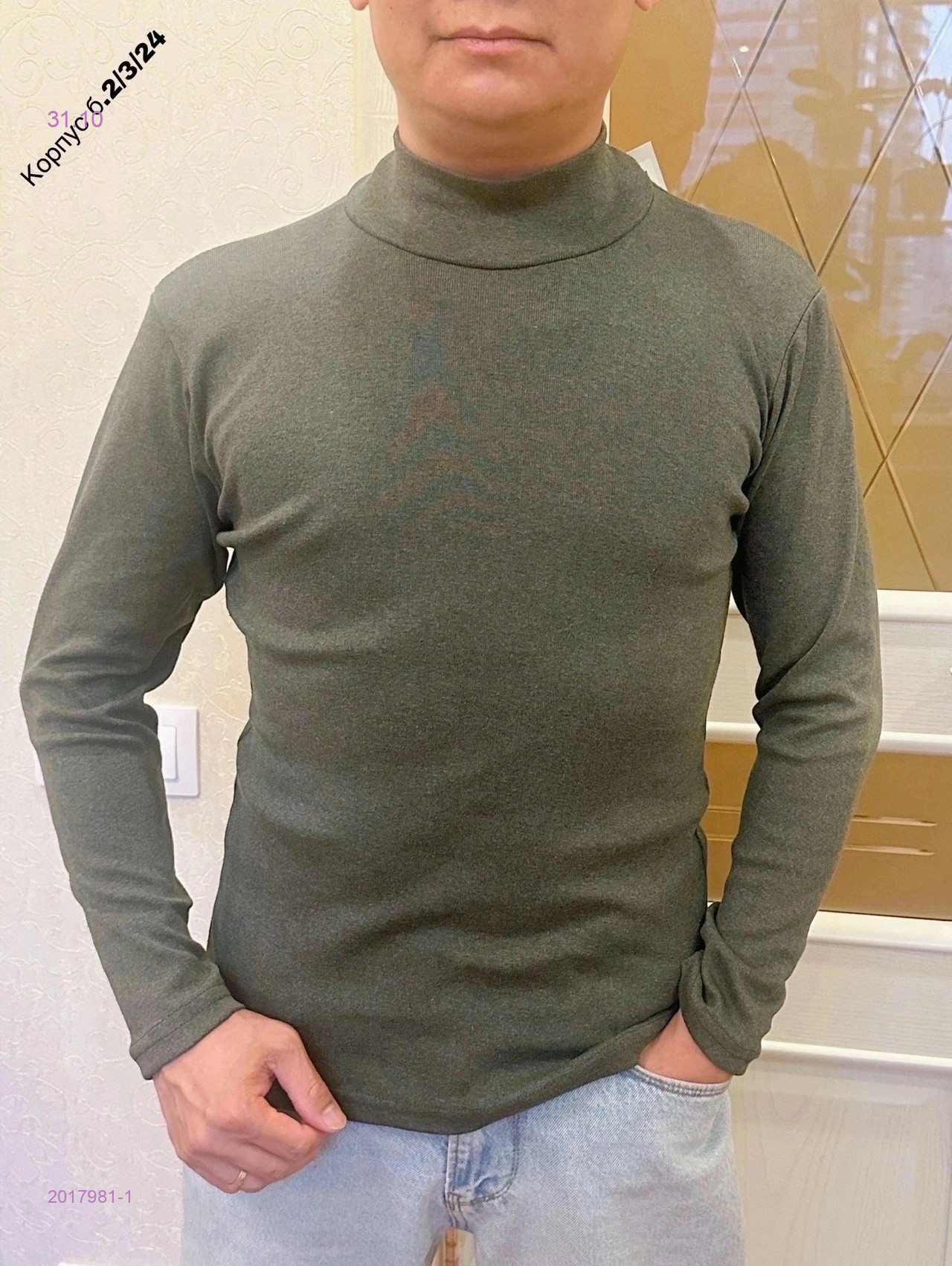 Водолазка 2017981-1