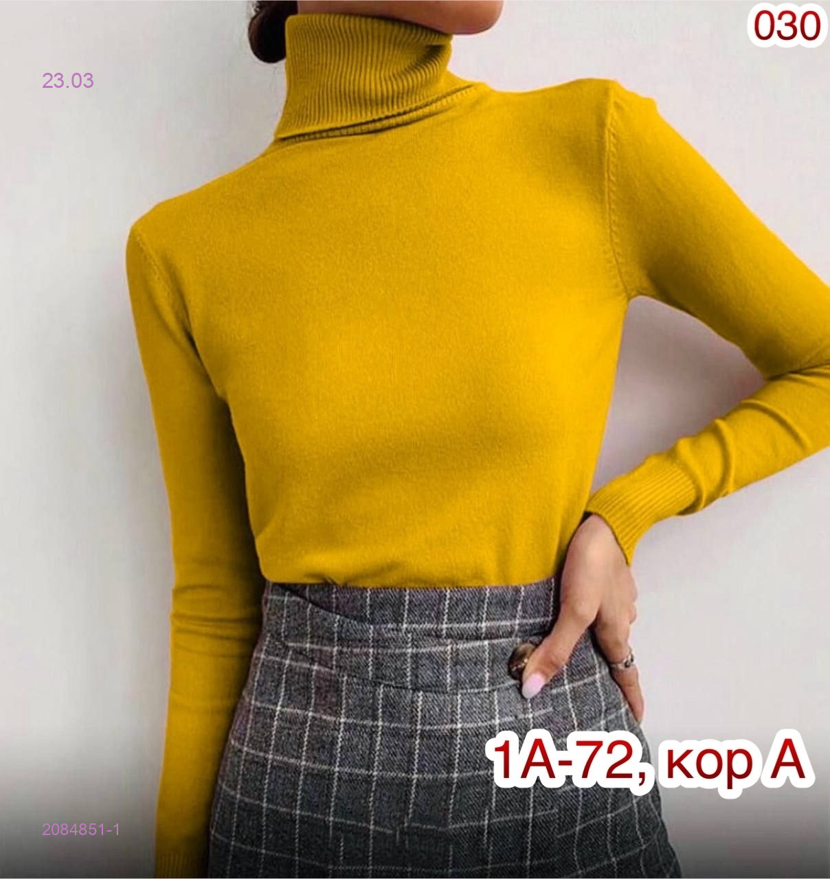 Водолазка 2084851-1