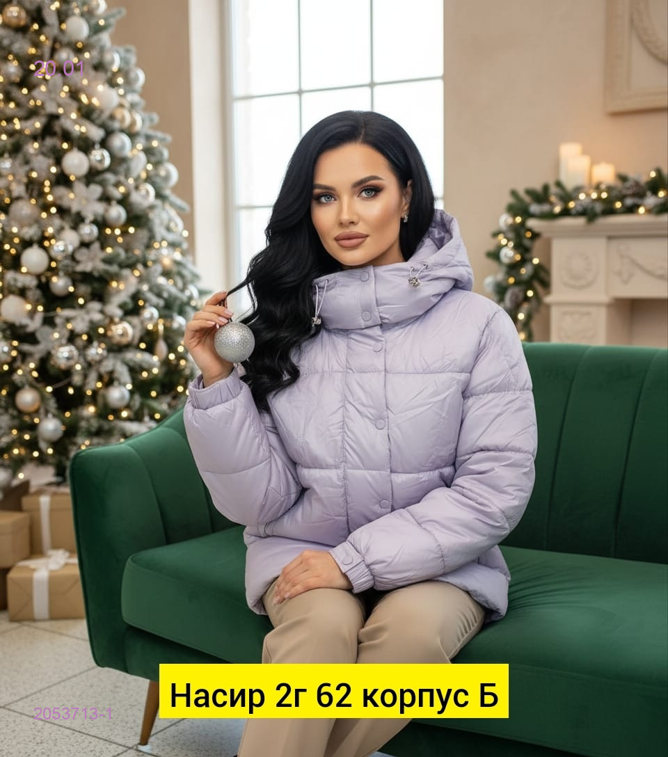 Куртка зима 2053713-1