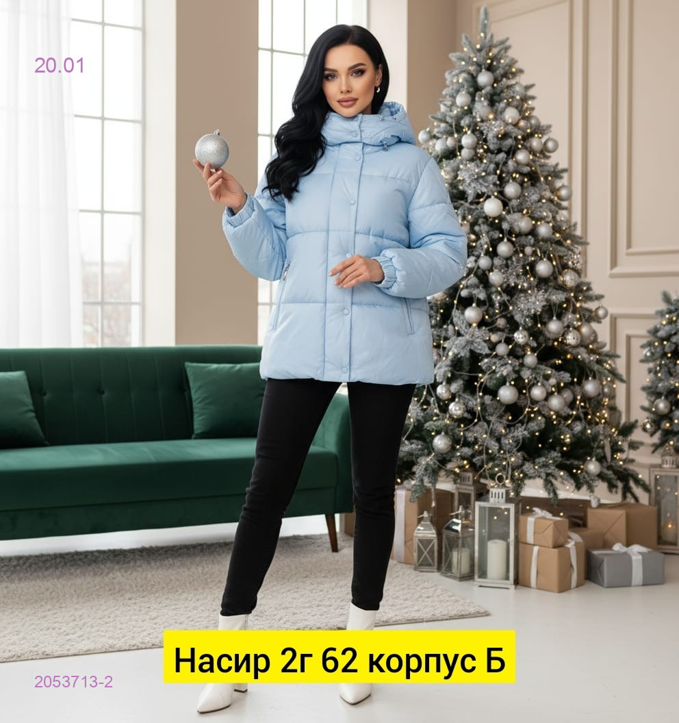 Куртка зима 2053713-2