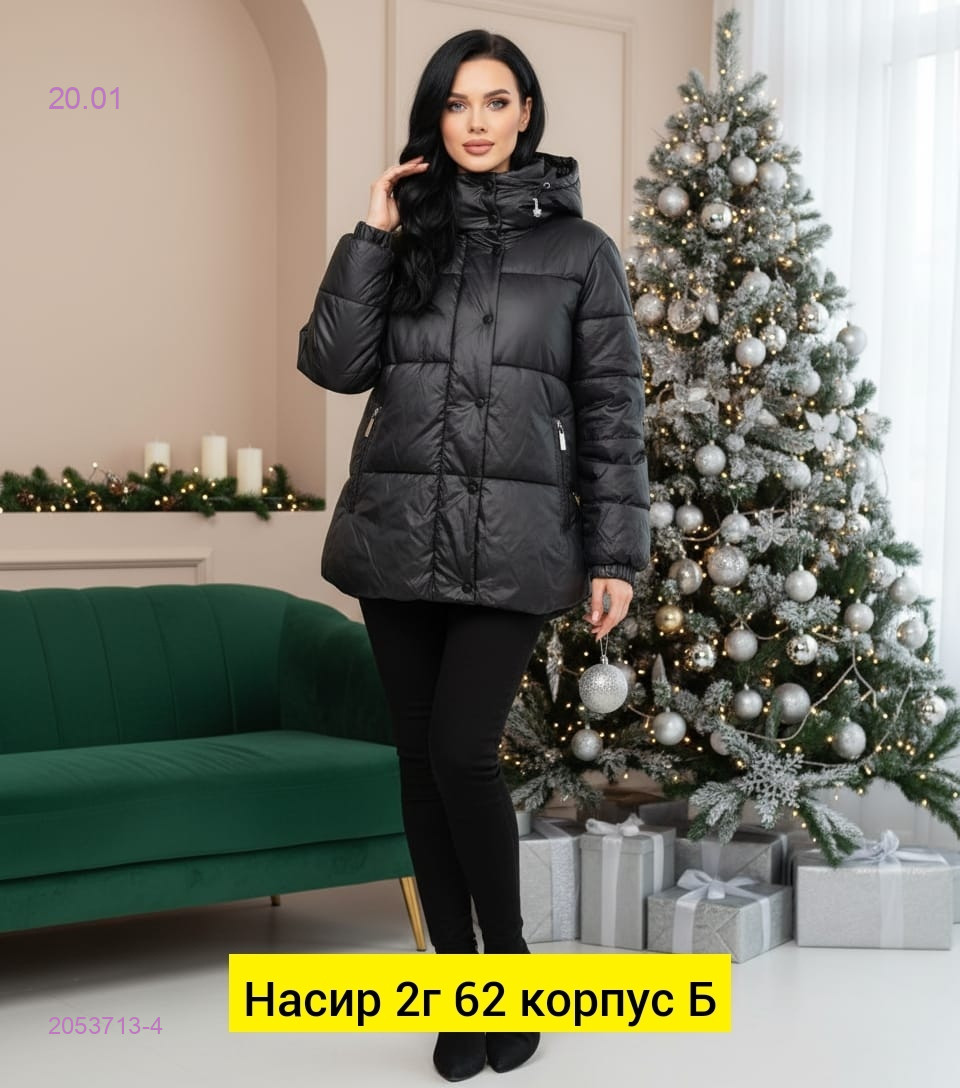 Куртка зима 2053713-4