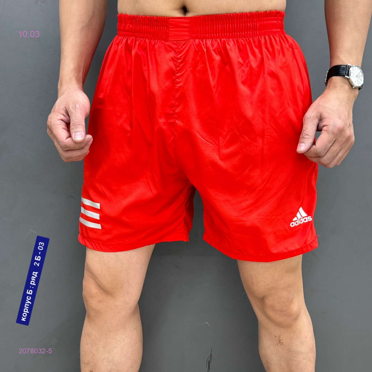 Шорты 2078032-5