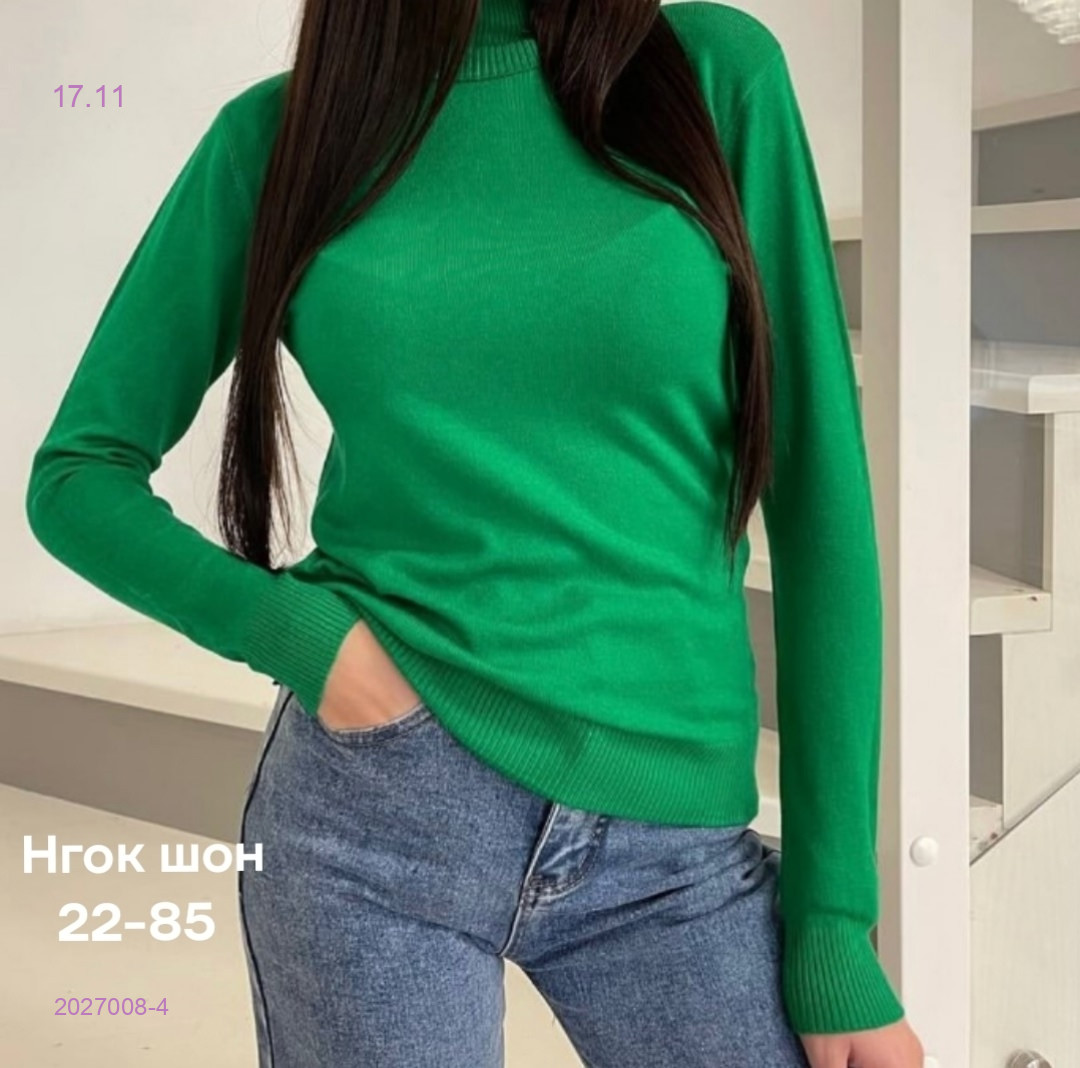 Водолазка 2027008-4