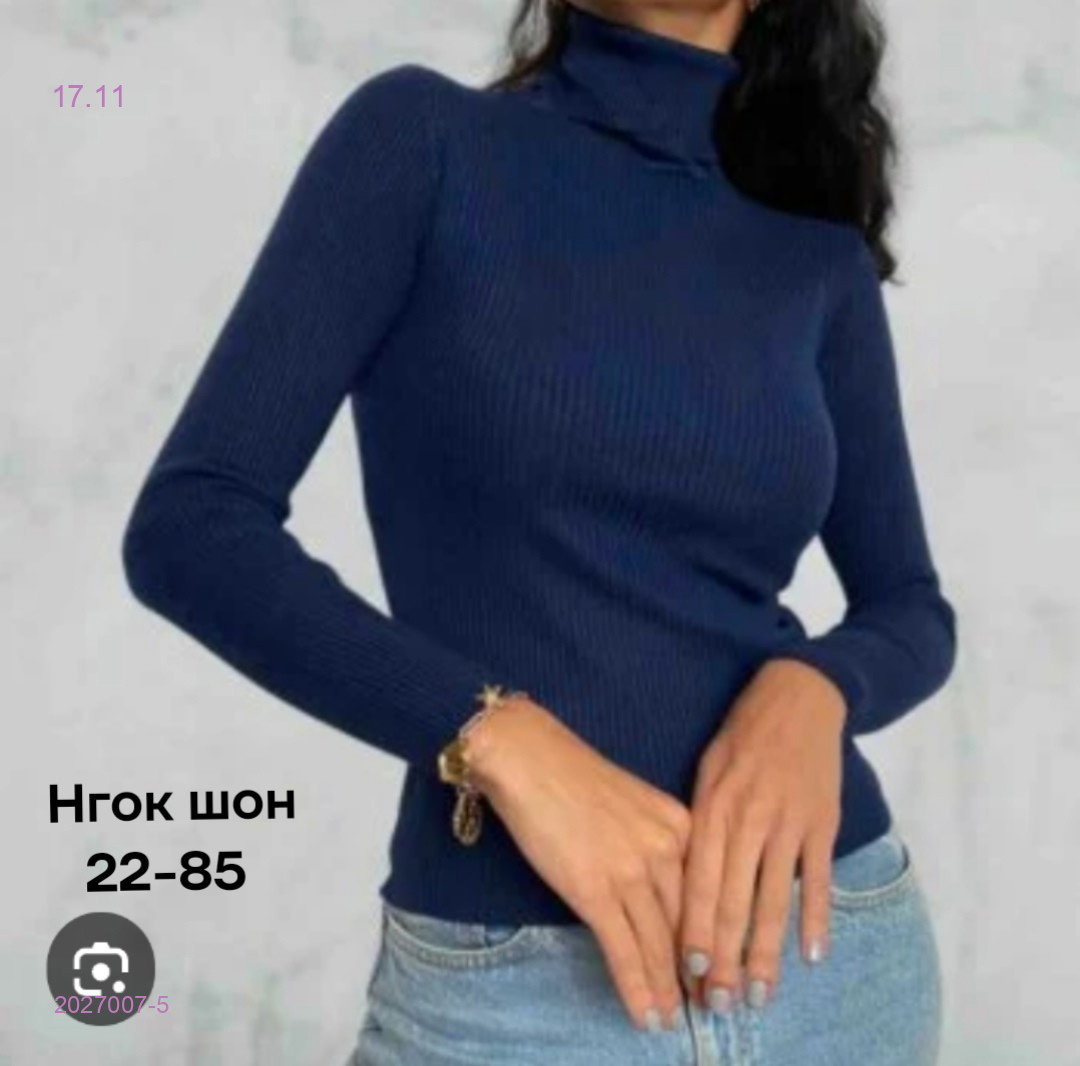 Водолазка 2027007-5