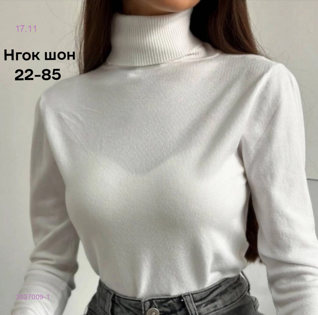 Водолазка 2027009-1