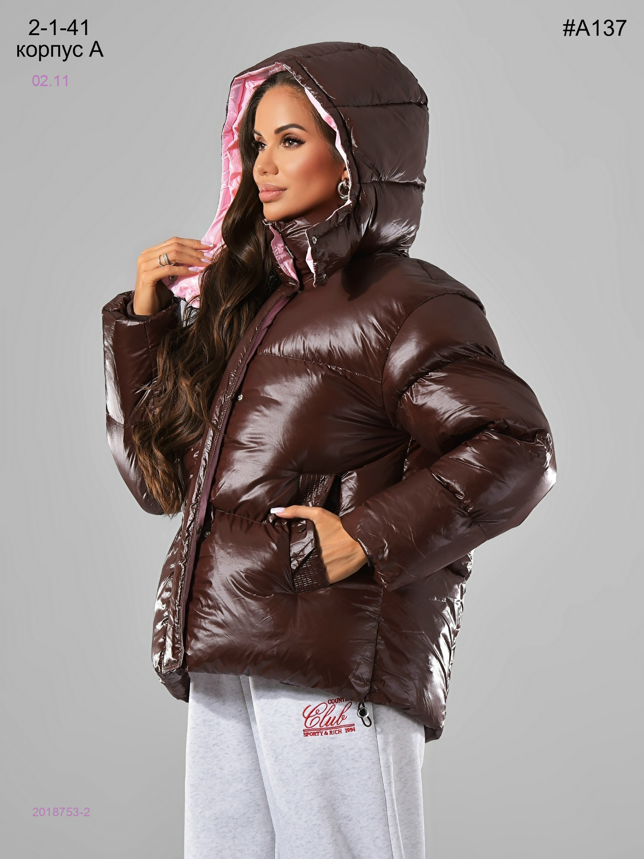 Куртка зима 2018753-2