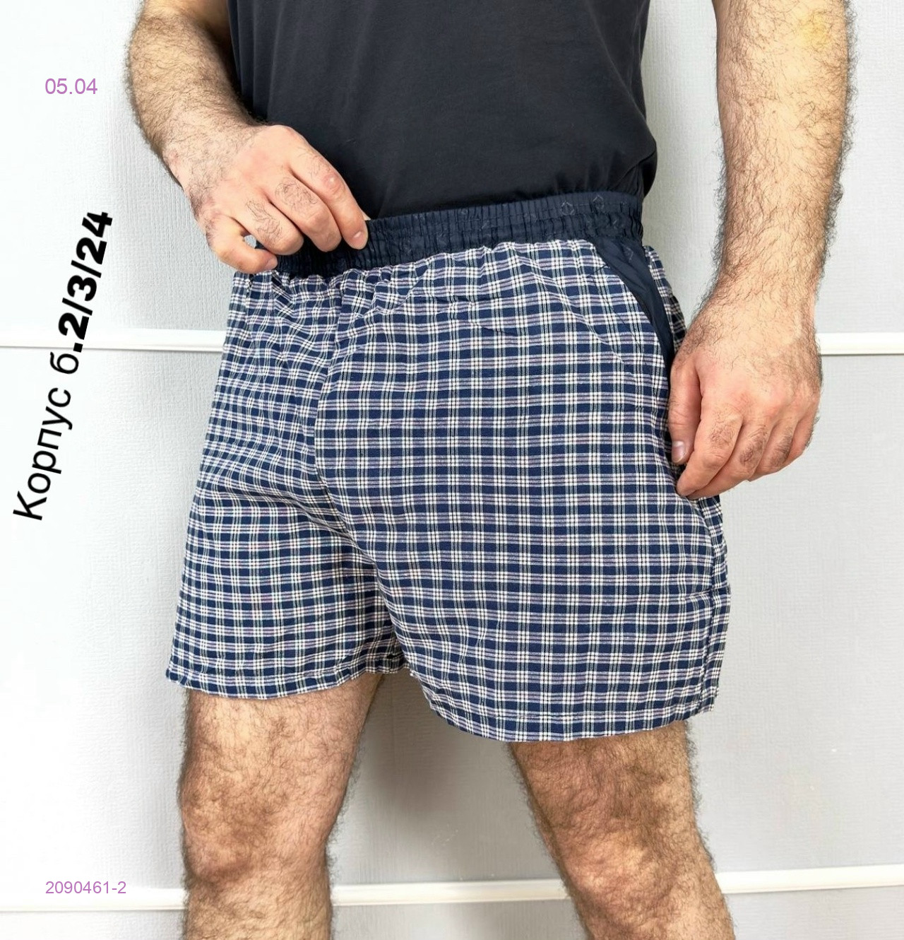 Шорты 2090461-2